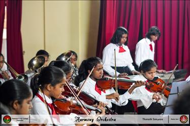 Harmony Orchestra